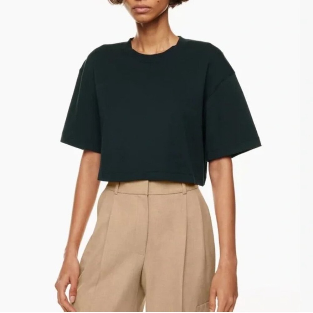 Babaton Aritzia Black Cropped T Shirt